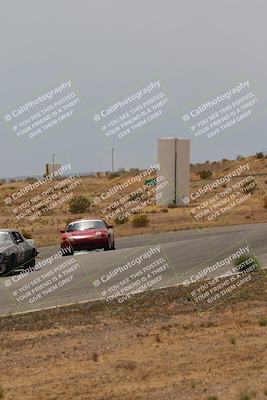 media/May-03-2025-Lucky Dog Racing (Sat) [[206de64b9d]]/Turn 6 (150pm-230pm)/